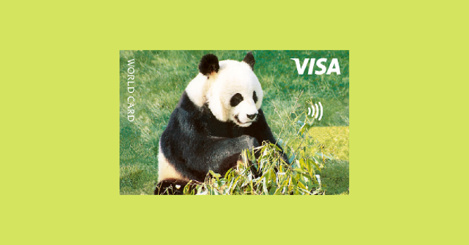 Hoe Vraag Je de ICS Visa World Panda Creditcard Aan Gids 2023